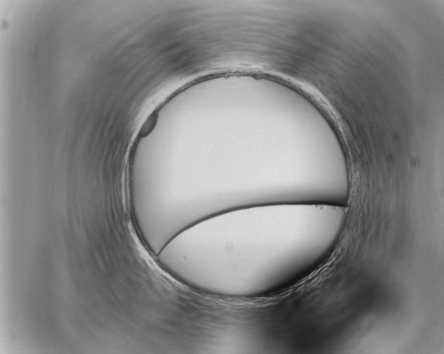 X0000059061295200510171930