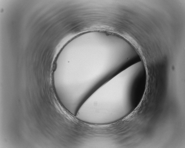 X0000059061296200510171930