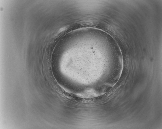 X0000059061297200510171929