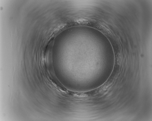 X0000059061298200510171929