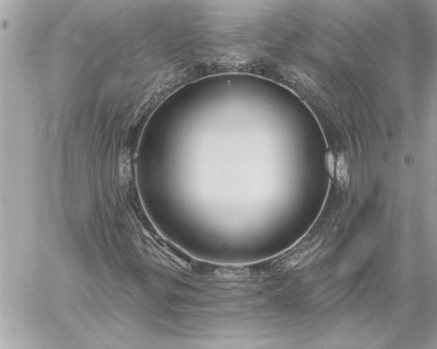 X0000059061299200510171929