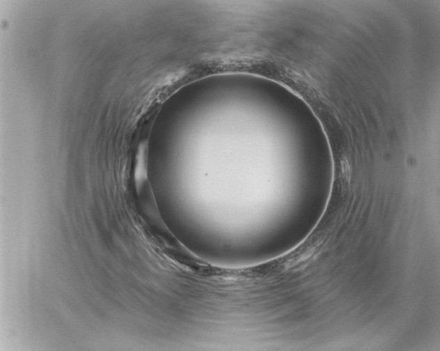 X0000059061300200510171929