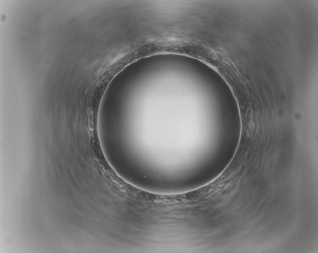 X0000059061301200510171929