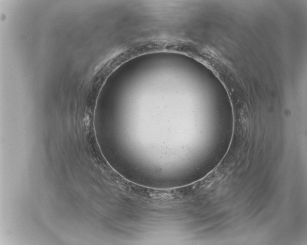 X0000059061302200510171929