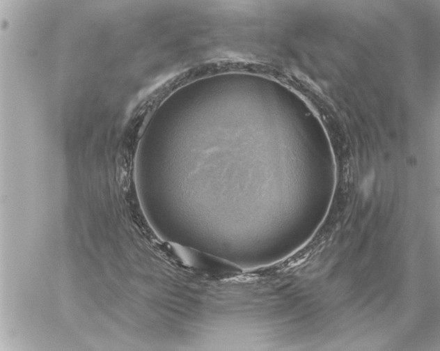 X0000059061303200510171929