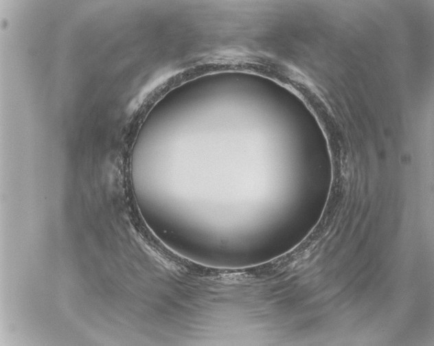 X0000059061304200510171929