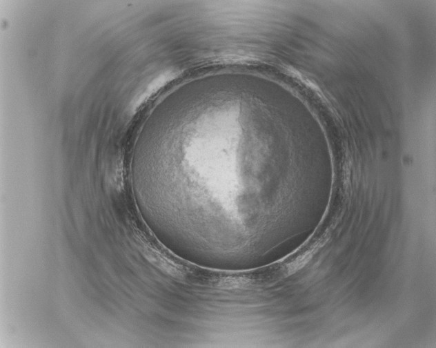 X0000059061306200510171929