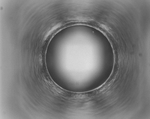 X0000059061307200510171929