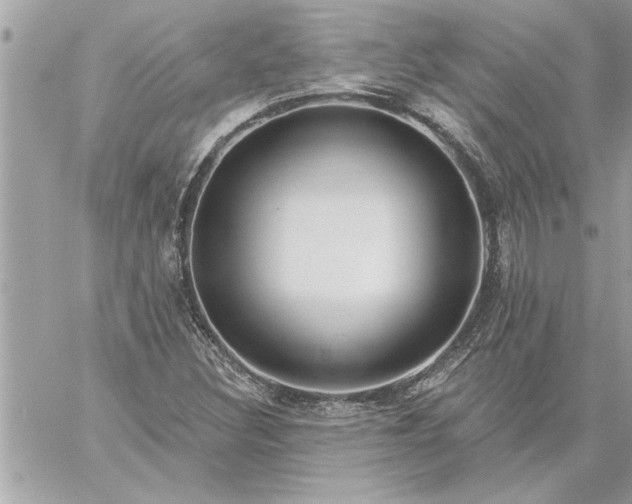 X0000059061308200510171929