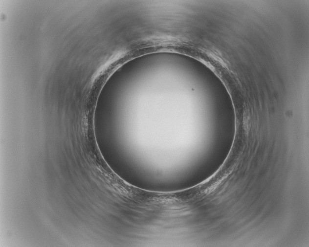 X0000059061309200510171929