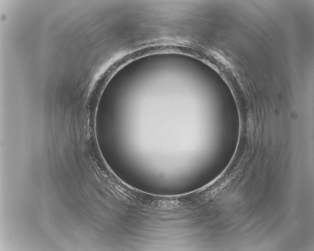 X0000059061310200510171929