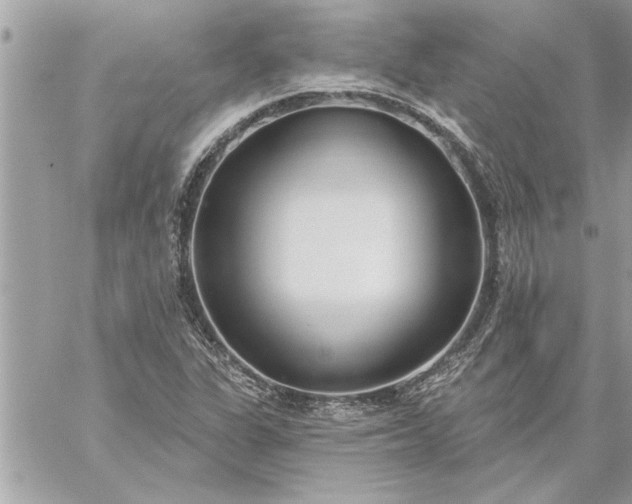 X0000059061311200510171929