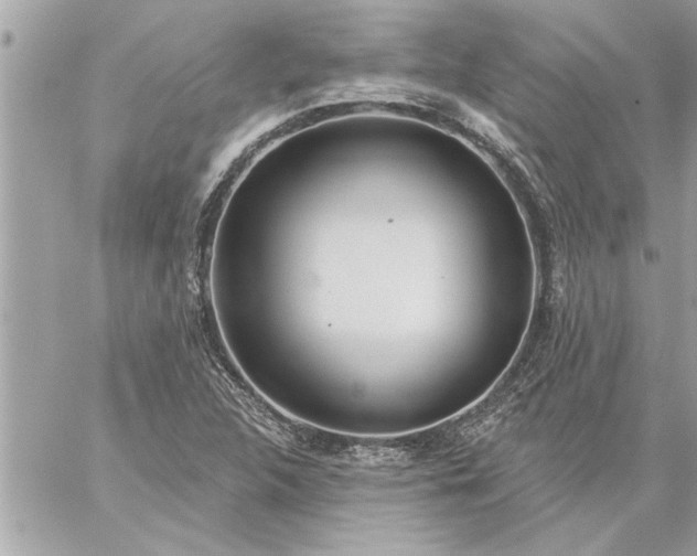 X0000059061312200510171929