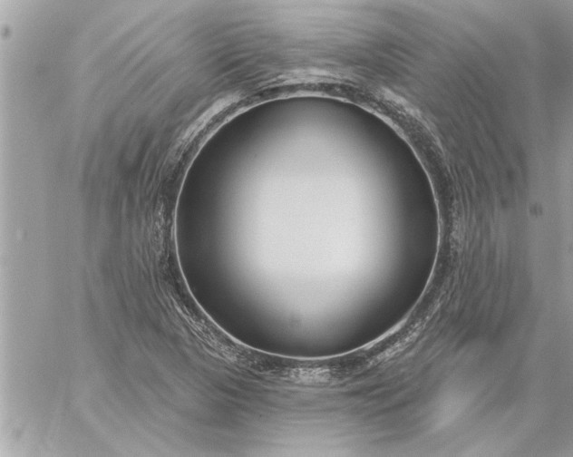 X0000059061313200510171929