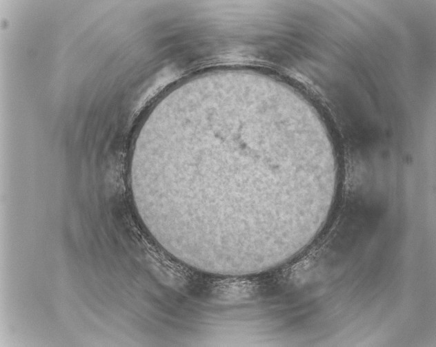 X0000059061314200510171929