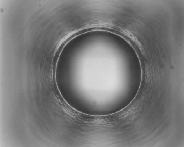 X0000059061316200510171929