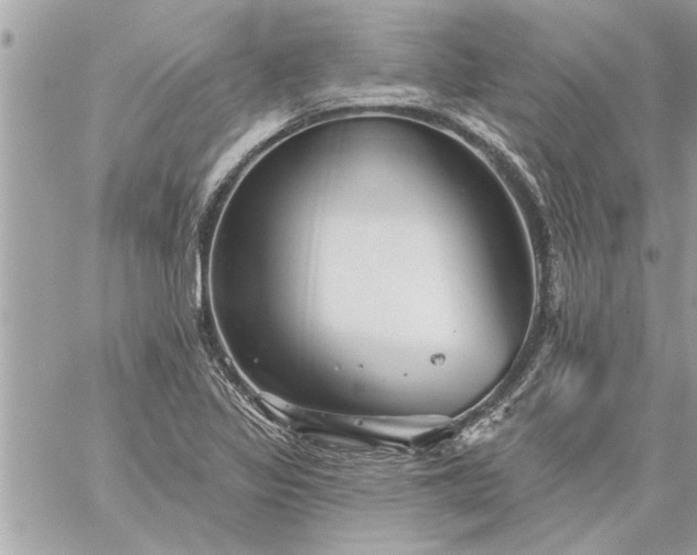 X0000059061317200510171929