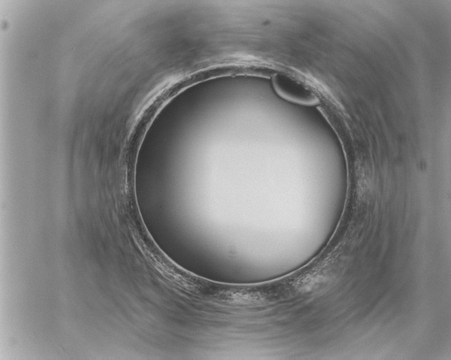 X0000059061318200510171929