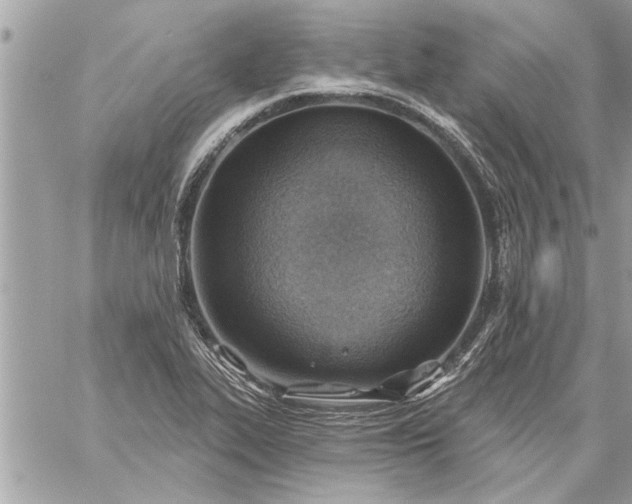 X0000059061319200510171929