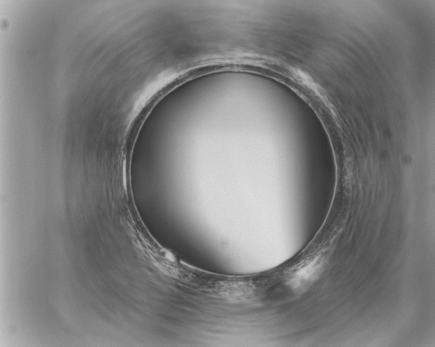 X0000059061320200510171929