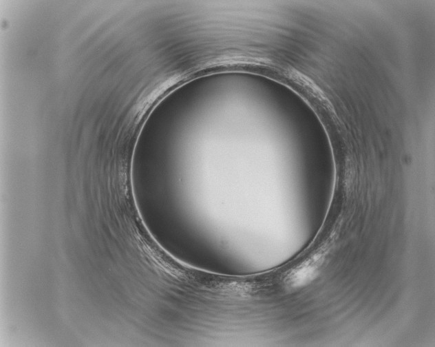 X0000059061321200510171929