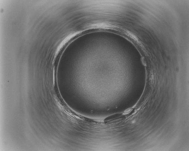 X0000059061323200510171929