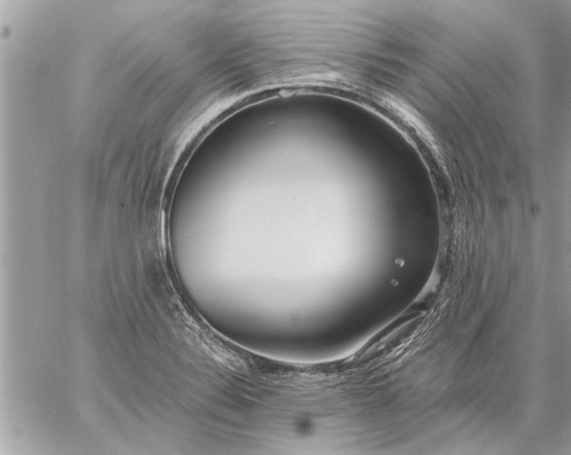 X0000059061324200510171929