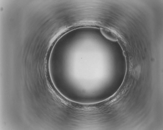 X0000059061325200510171929