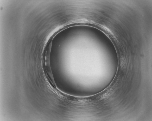 X0000059061326200510171929