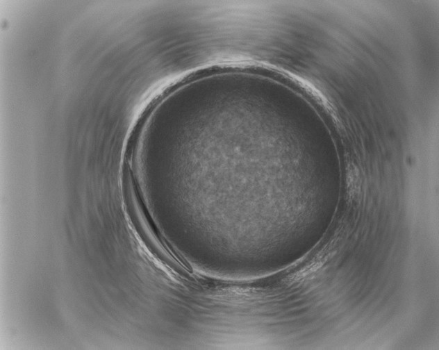 X0000059061327200510171929