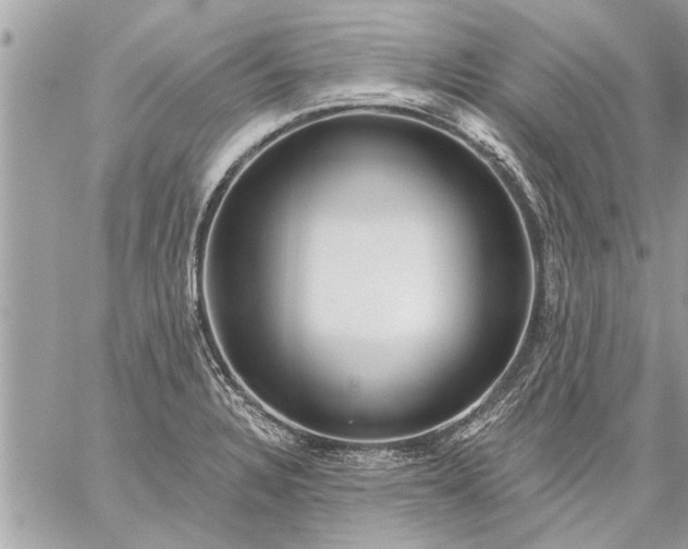 X0000059061328200510171929