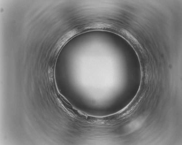 X0000059061329200510171929