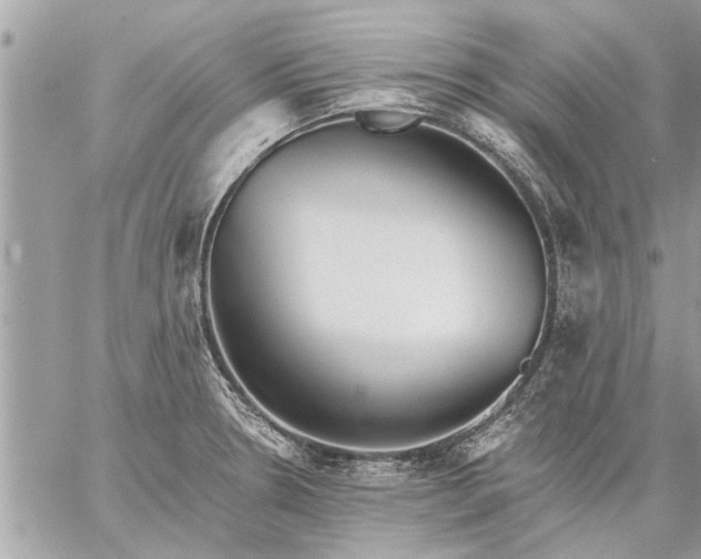 X0000059061330200510171929