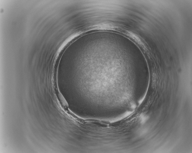 X0000059061331200510171930