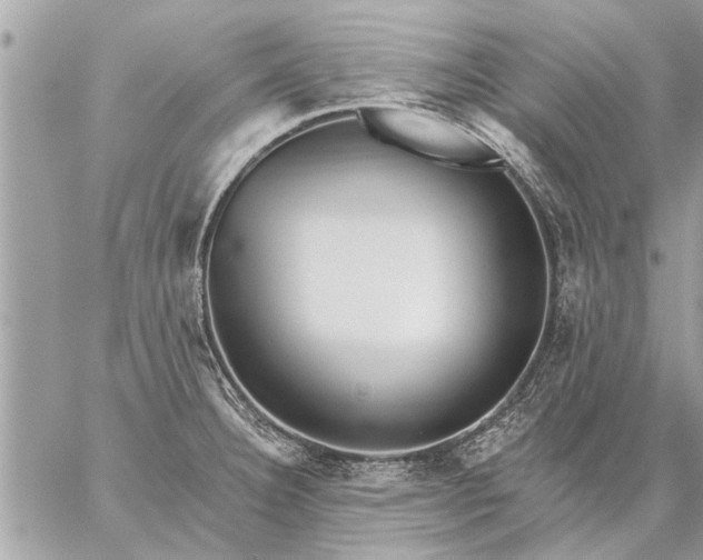 X0000059061332200510171930