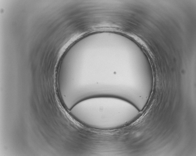 X0000059061333200510171930