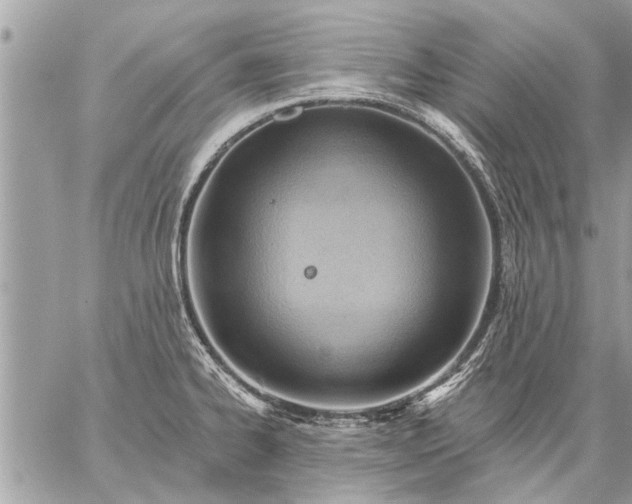 X0000059061334200510171930