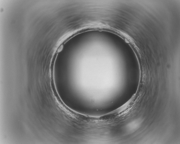 X0000059061335200510171930