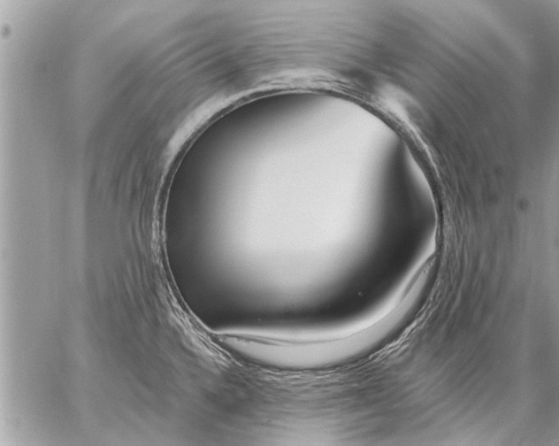 X0000059061336200510171930