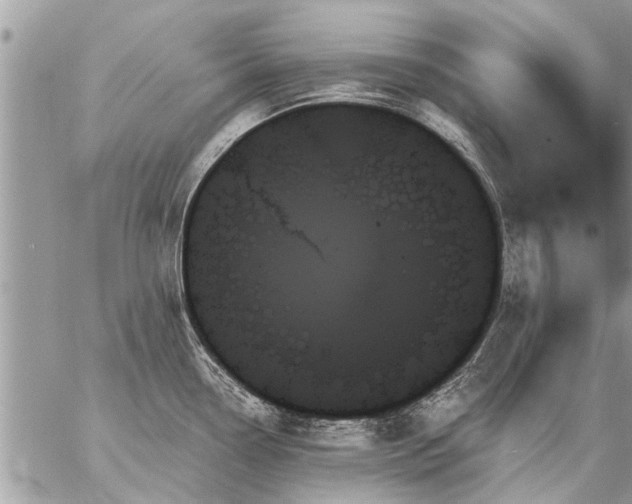 X0000059061338200510171930