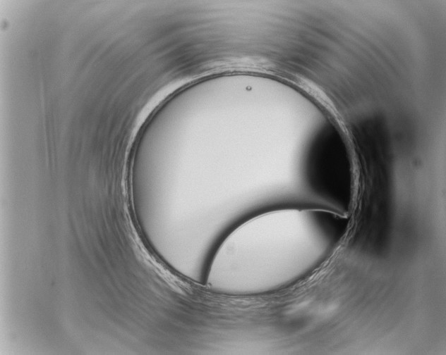 X0000059061339200510171930