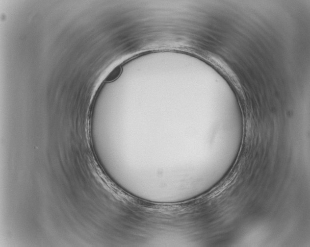 X0000059061340200510171930