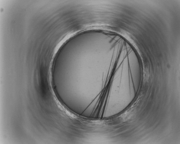 X0000059061341200510171930