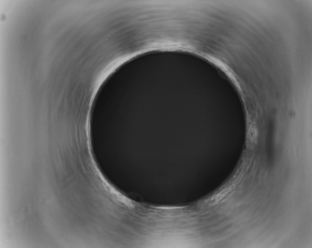 X0000059061343200510171930