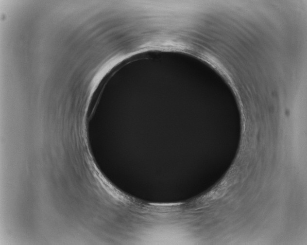 X0000059061344200510171930