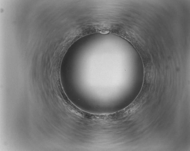 X0000059061345200510171929