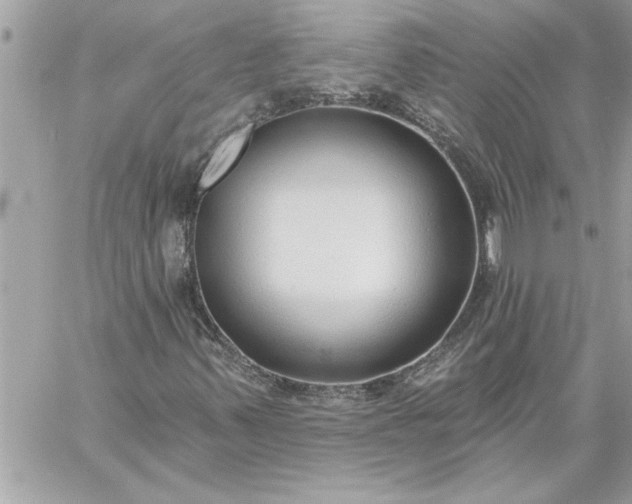 X0000059061347200510171929