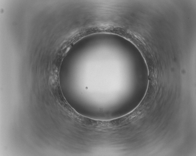 X0000059061349200510171929