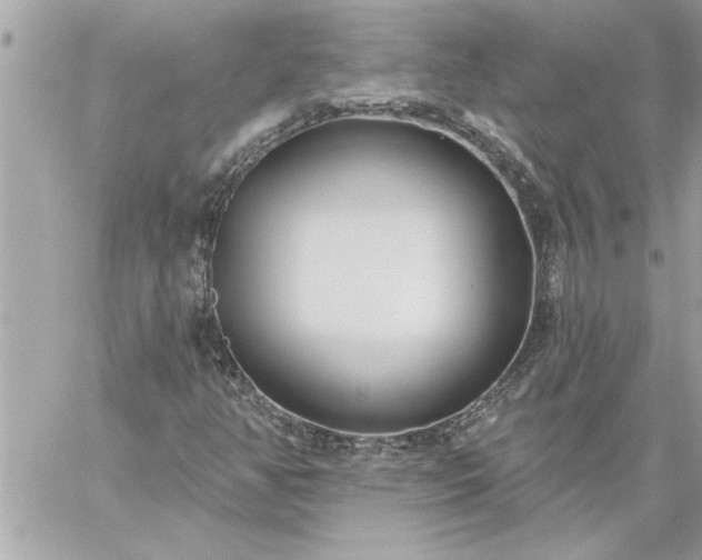 X0000059061350200510171929