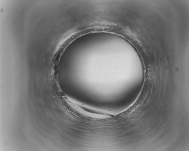 X0000059061352200510171929